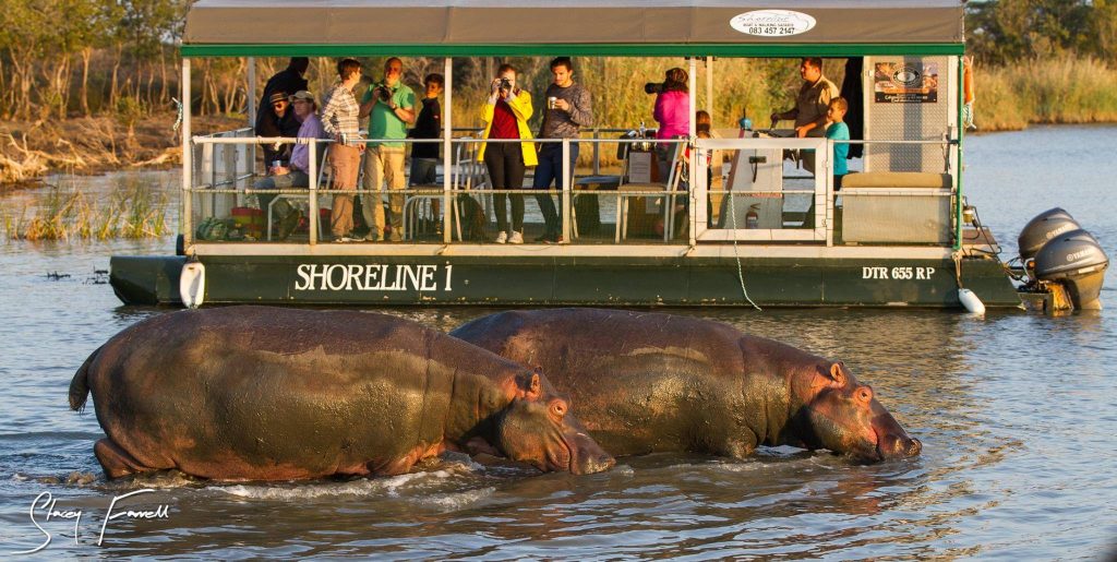 1 Night Bush, River and Night Drive Safari Package 2 boat safari tour