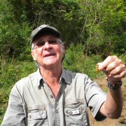 paul guide