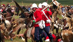 durban day tours and safaris