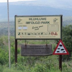 self drive safari tips and rules