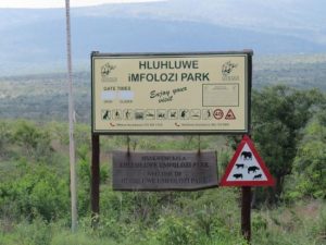 self drive safari tips and rules