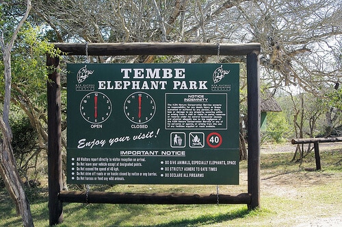 tembe elephant park gate times