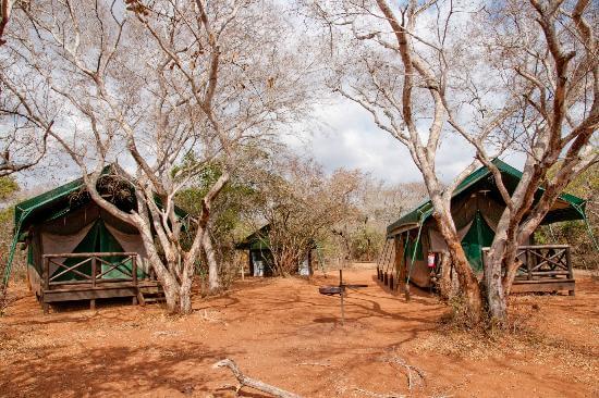 mkuze game reserve tented camp