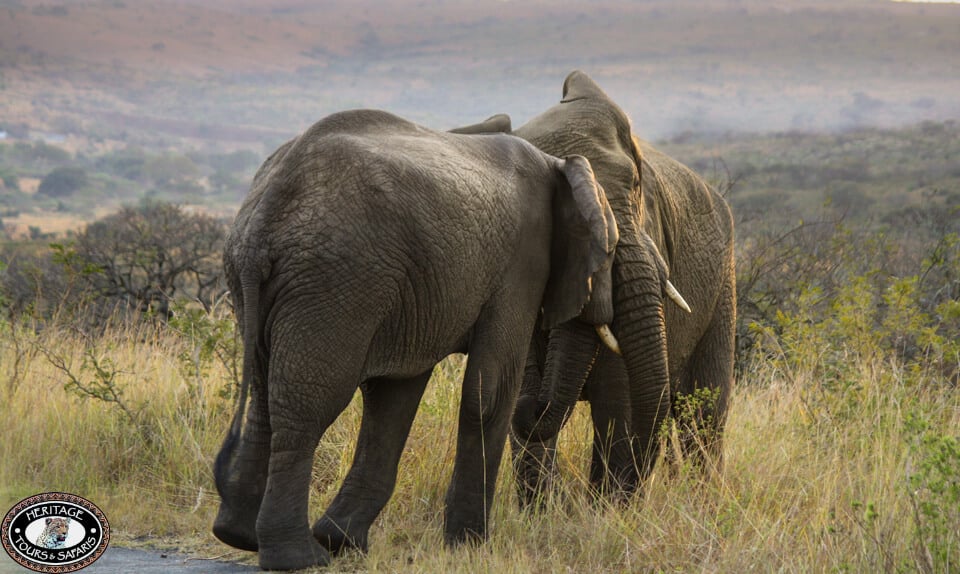 hluhluwe holiday packages