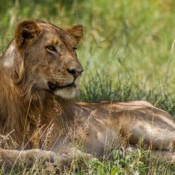 hluhluwe holiday packages