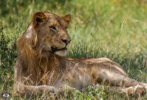 hluhluwe holiday packages