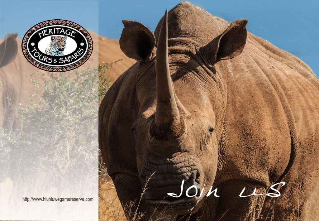 Hluhluwe Game Reserve Activities