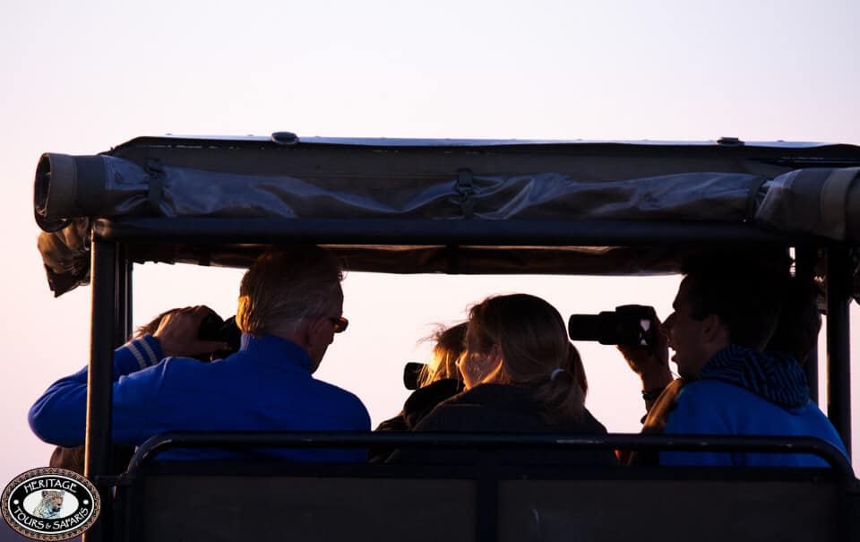 clients on safari