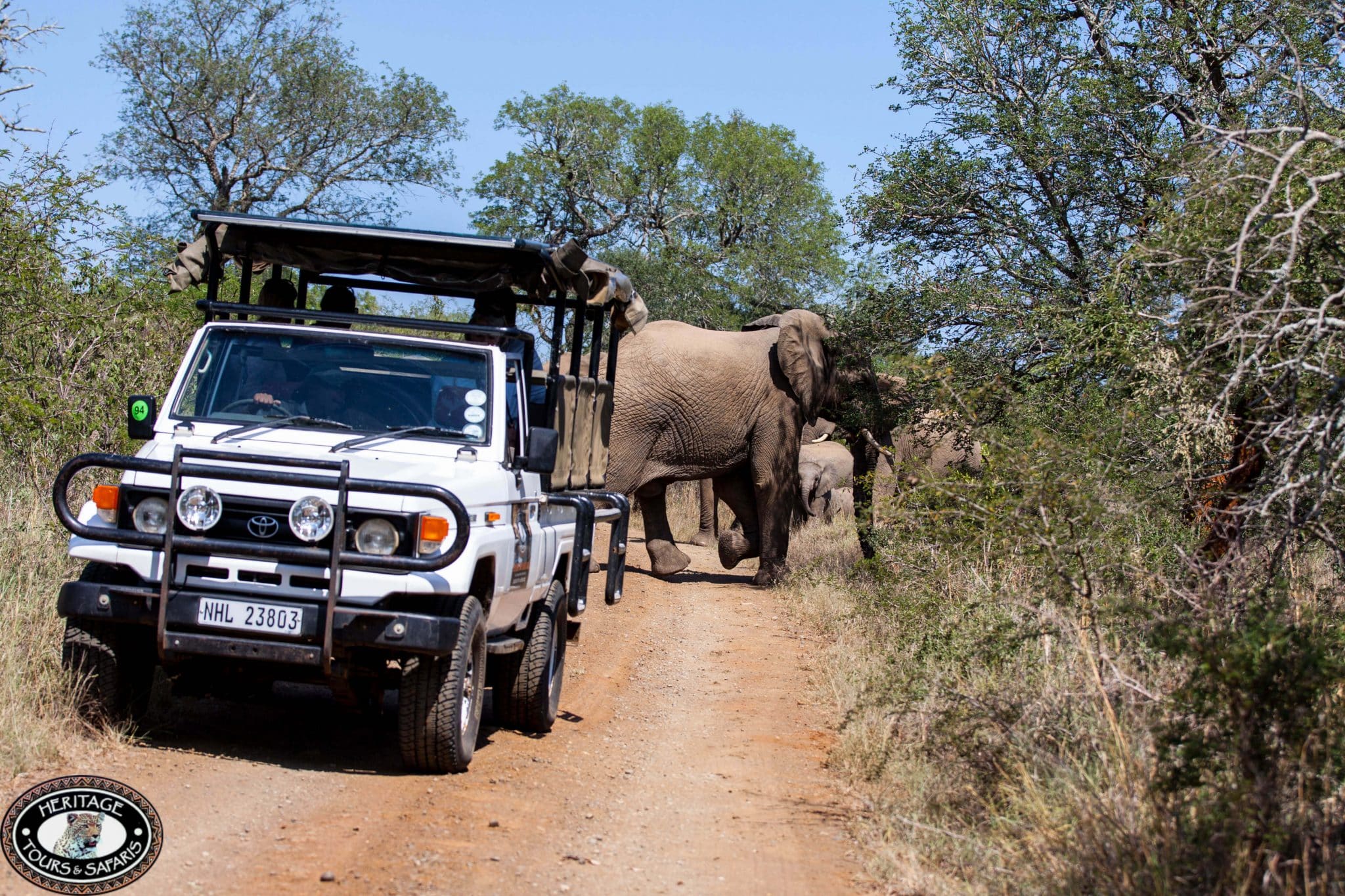 game reserves in south africa, hluhluwe game reserve