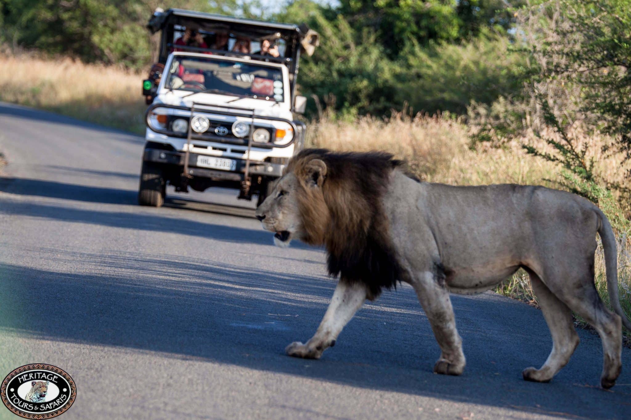 imfolozi park safari