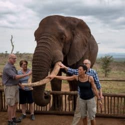 Hluhluwe Game Reserve Safari Tips and information