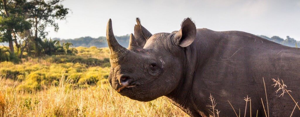 top things to do in durban kzn