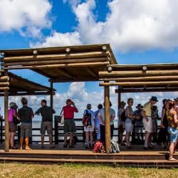 isimangaliso wetland park