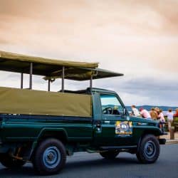 Hluhluwe Exclusive Safari Tour