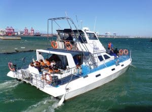 durban boat tours