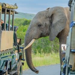 package tours and safaris kwazulu natal