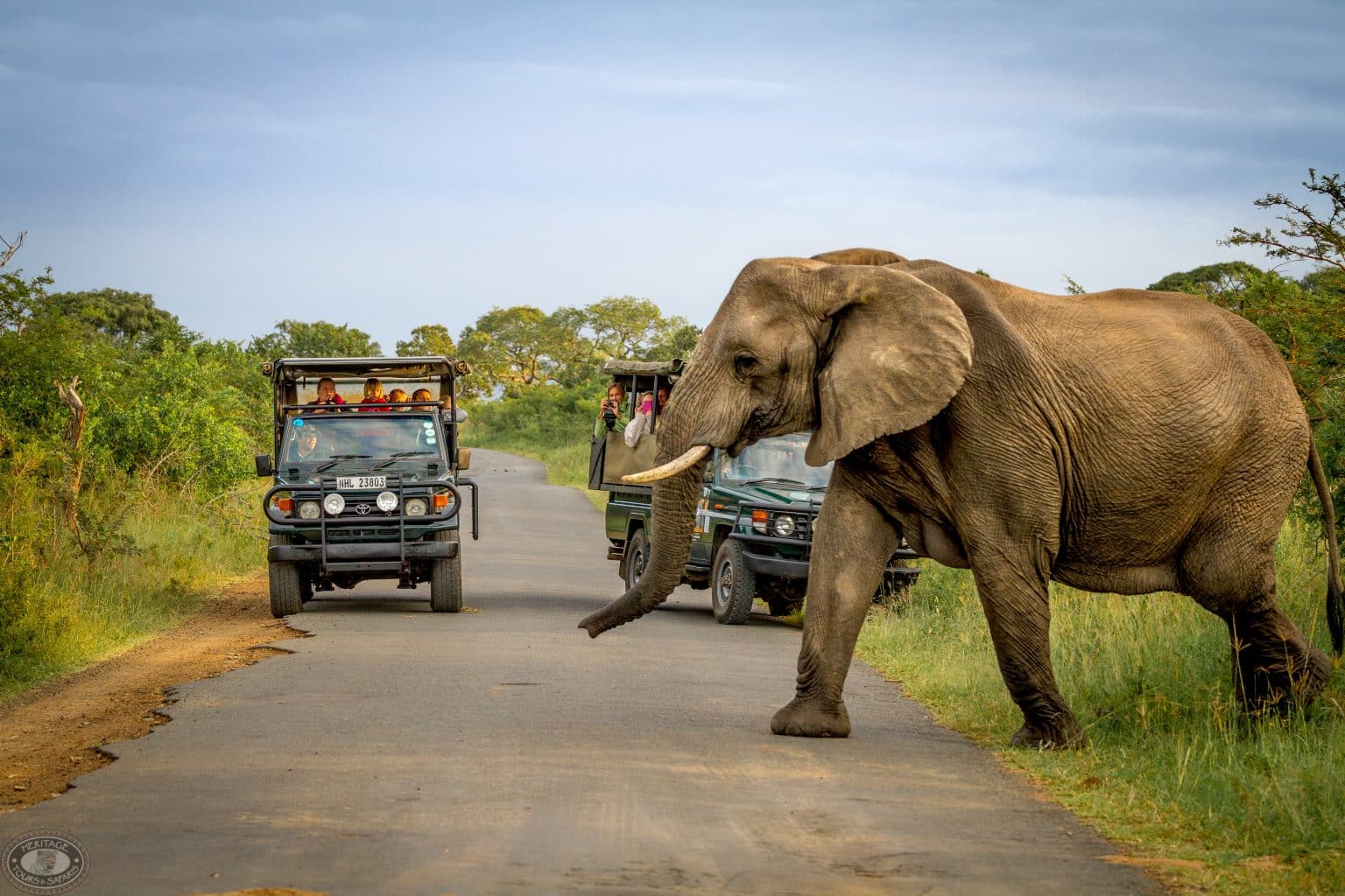 Richardsbay KZN shore excursions full day big 5 safari