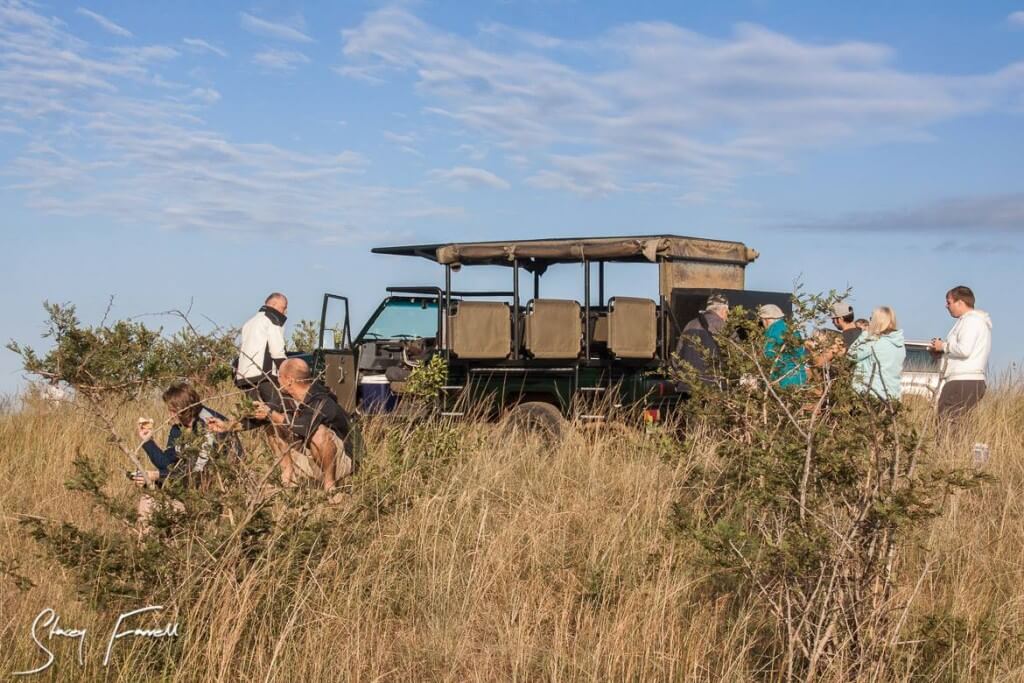 world heritage half day safari tour south africa