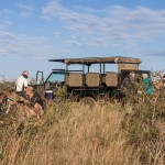 world heritage half day safari tour south africa