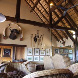 hluhluwe-imfolozi park accommodation
