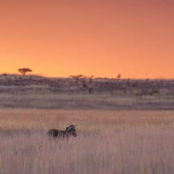 3 night hluhluwe umfolozi safari package