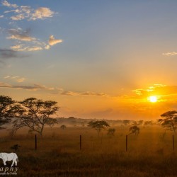 2 Night Hluhluwe Safari Package