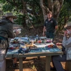 picnics and self drive safari