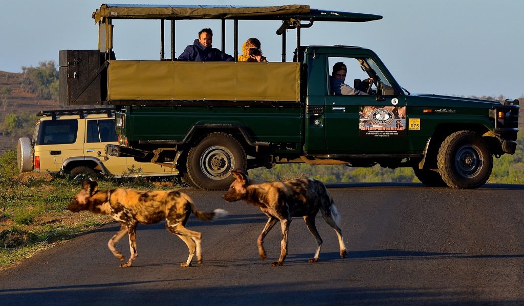 durban safaris tours