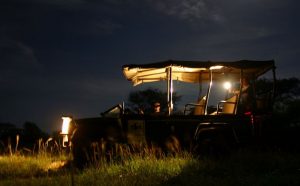 safari night drive isimangaliso