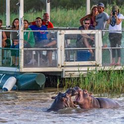 half day safari south africa kwazulu natal