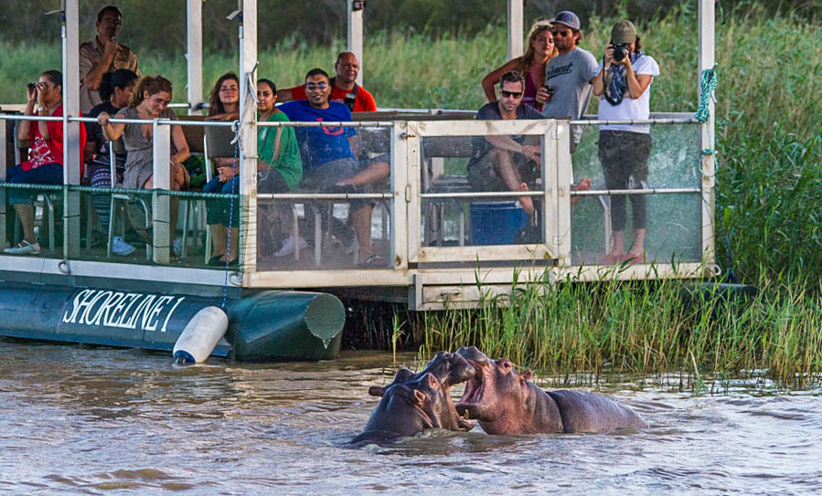 Hluhluwe Exclusive Private Safari 4 half day safari south africa kwazulu natal
