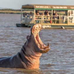 3 night safari package south africa