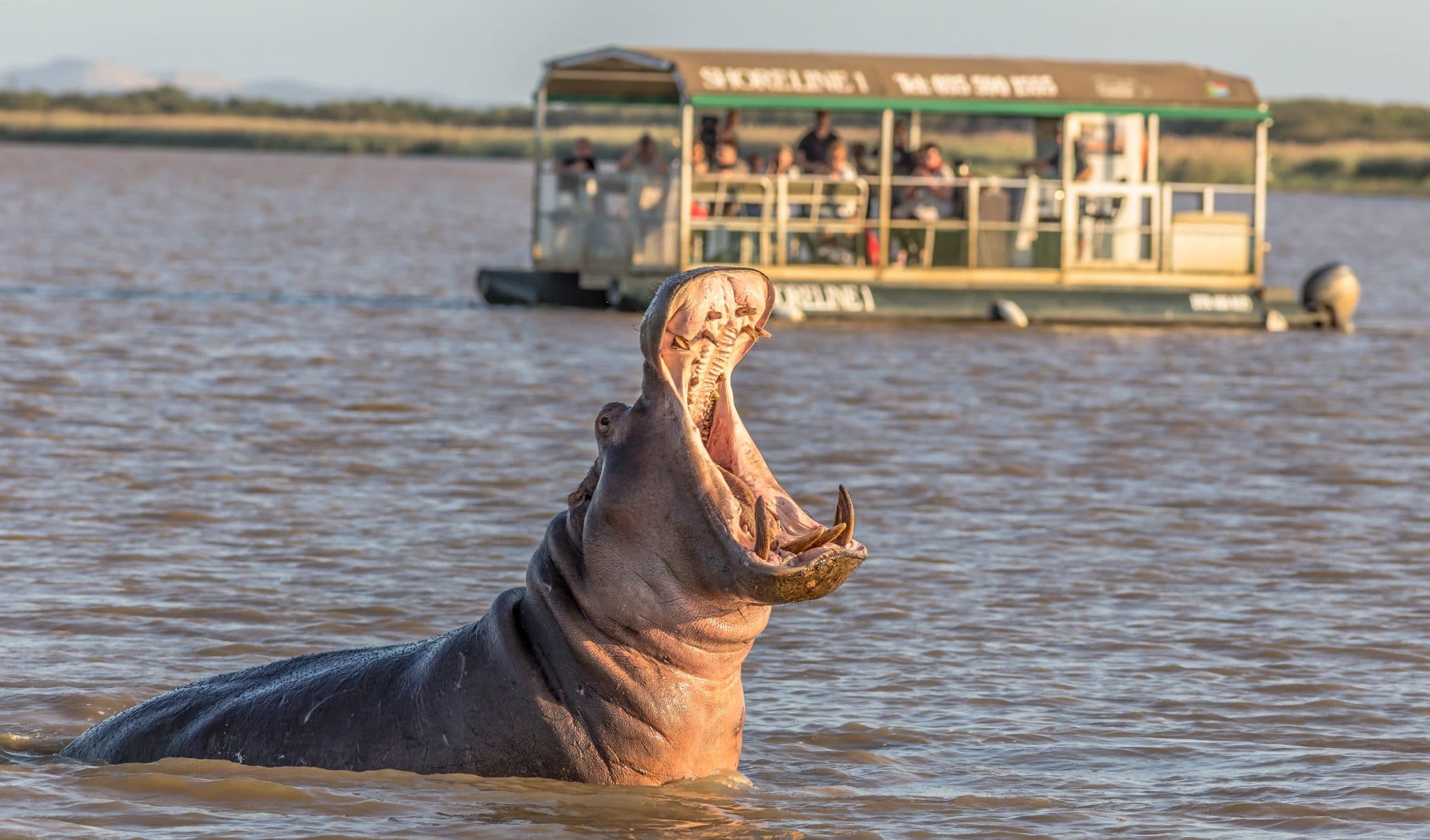 3 night safari package south africa