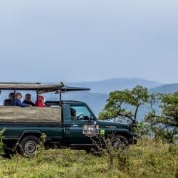 durban safari packages south africa