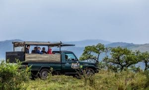 durban safari packages south africa
