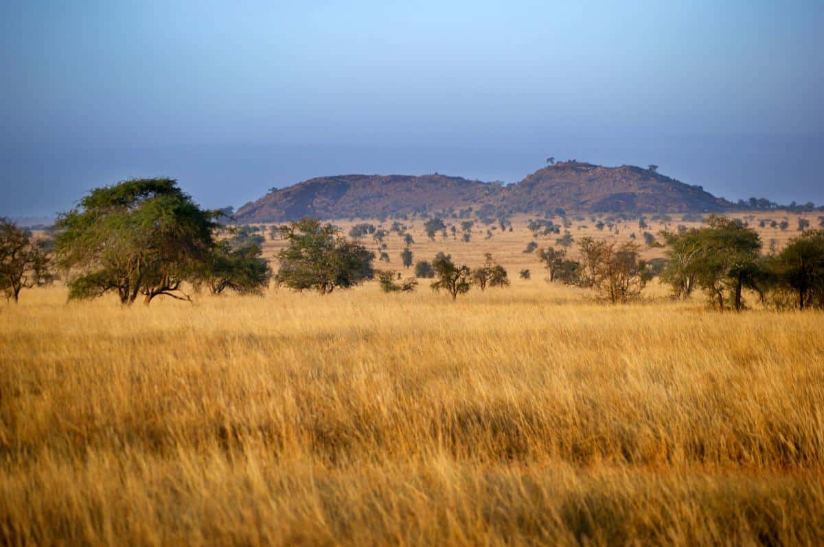 South African Biomes