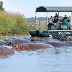 south africa tours and safaris