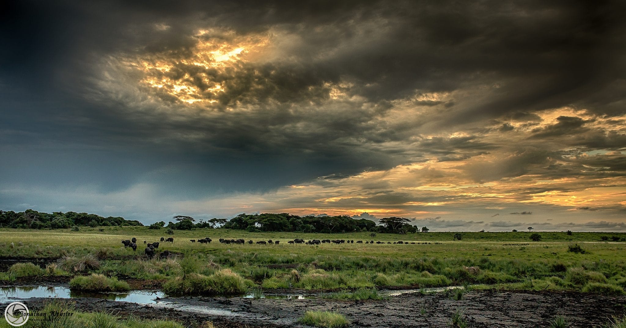 isimangaliso wetland park