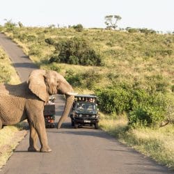 umfolozi imfolozi big 5 safari