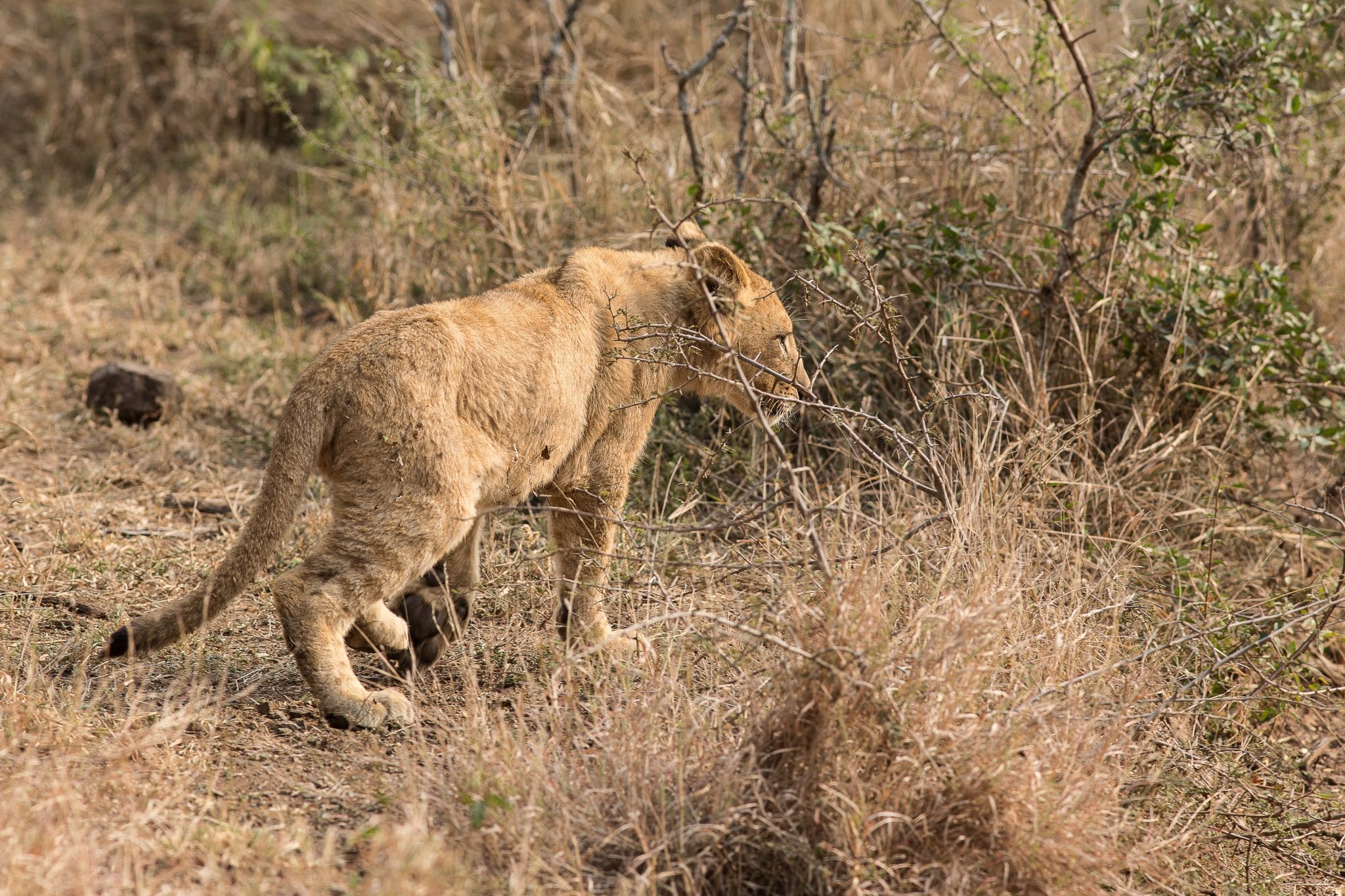 highlight of kwazulu natal