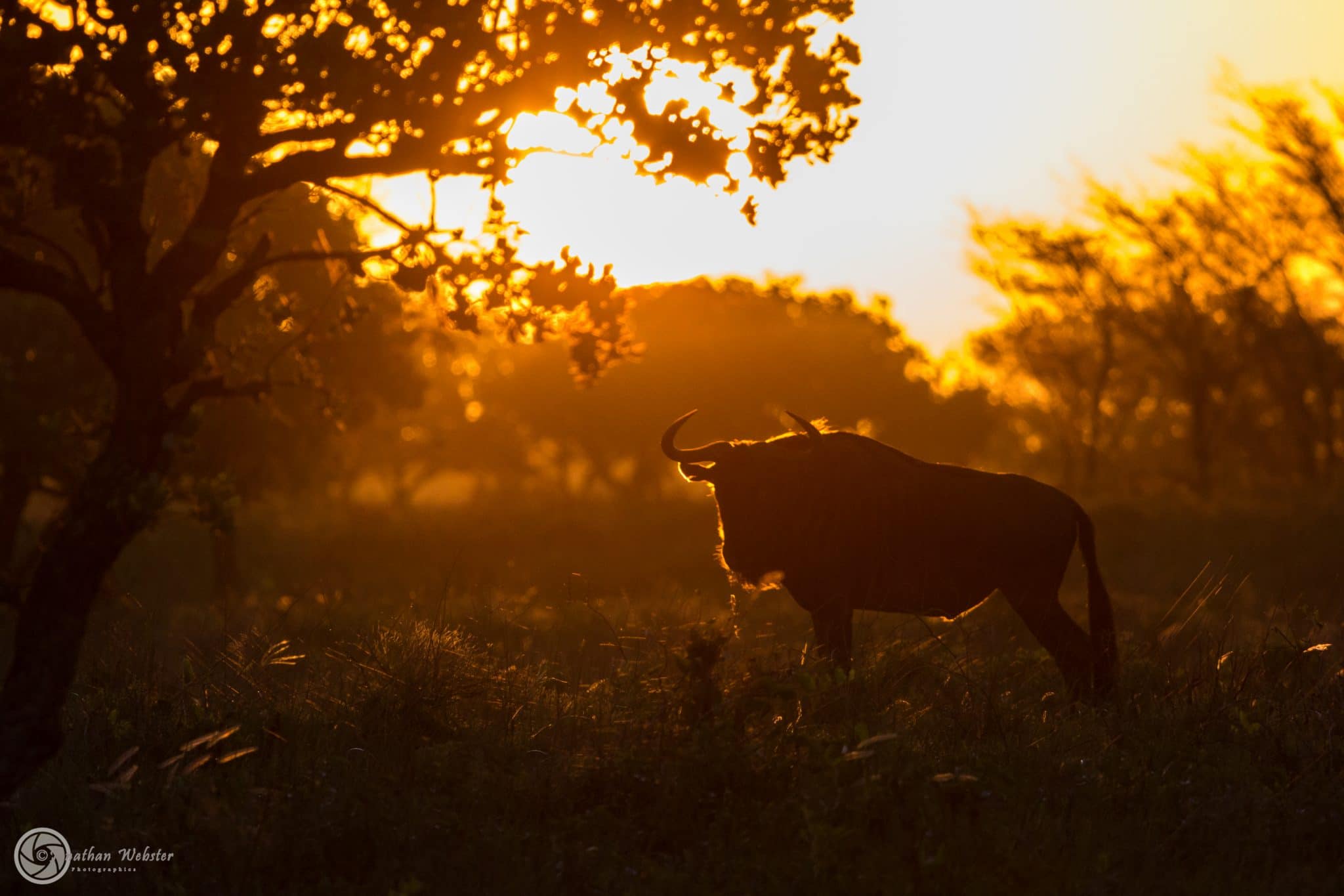 7 Night South Africa Safari Package 2 kwazulu natal south africa