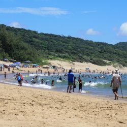 st lucia south africa to isimangaliso wetland park cape vidal