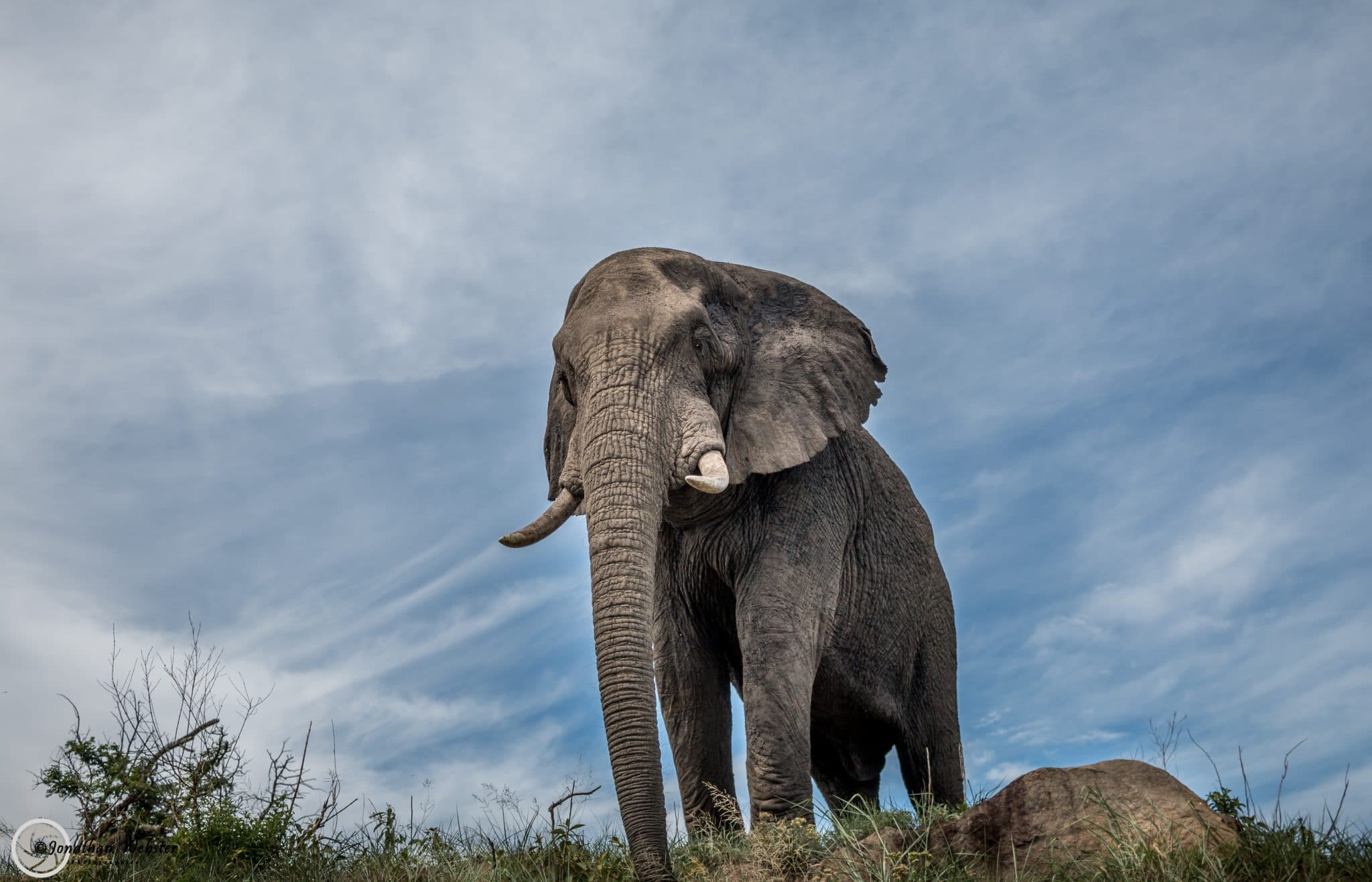 KwaZulu Natal Top Tourist Attractions 10 4 night zululand safari package