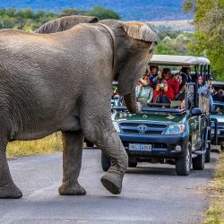 hluhluwe game reserve