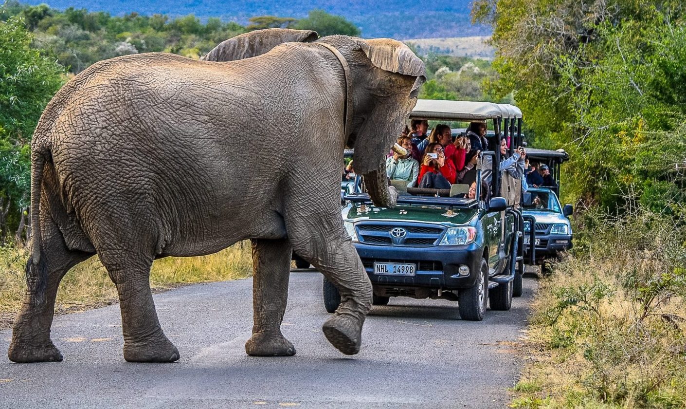 hluhluwe game reserve