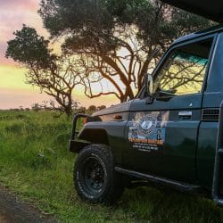 South Africa Safari Package Tips