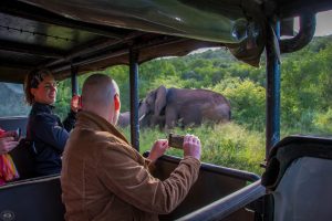 Mkuze Game Reserve 2 half day hluhluwe imfolozi big 5 less 15%