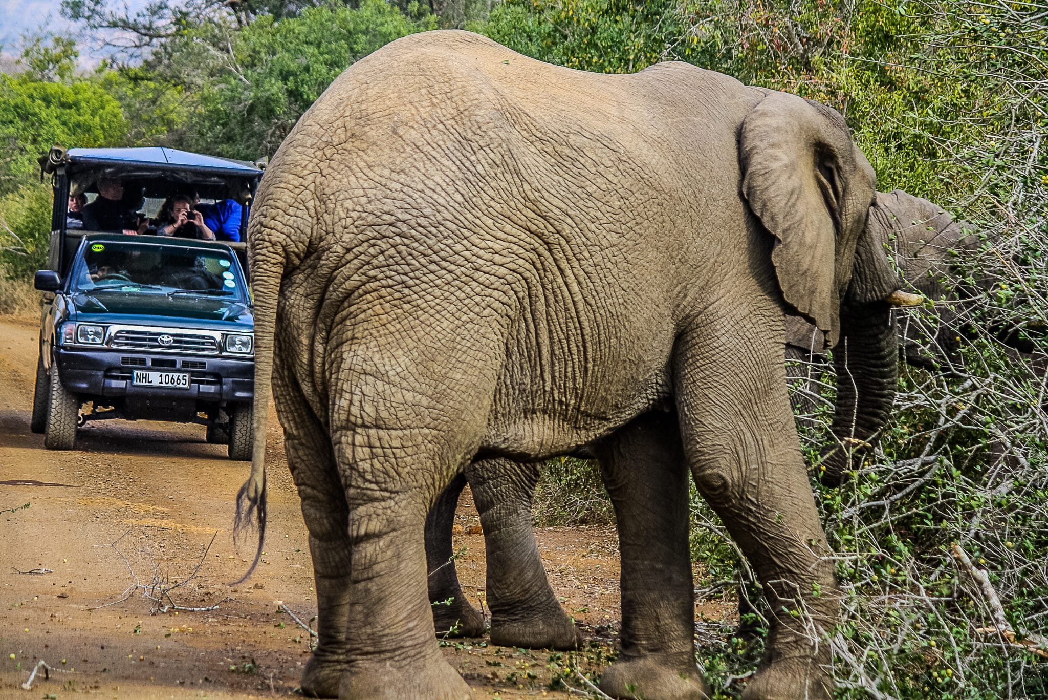 1 night bush, boat & night drive package