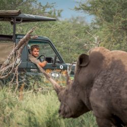 3 Night Safari Package Hluhluwe-Imfolozi Park (2)