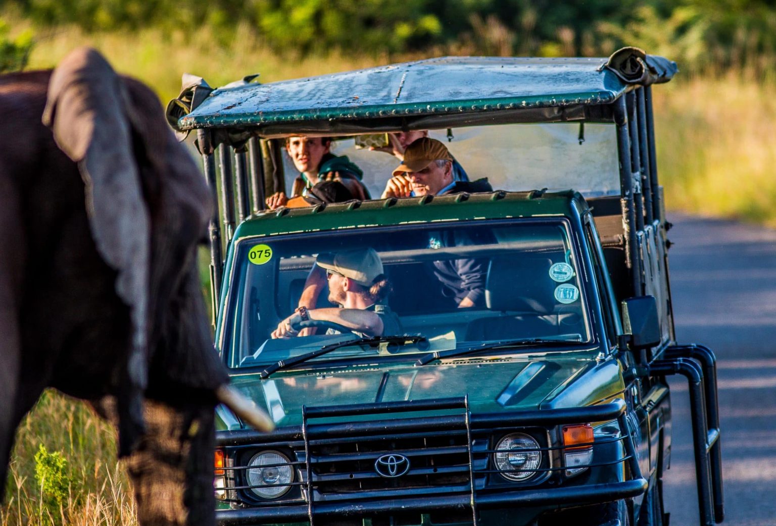 Half Day Big 5 Safari Hluhluwe-Imfolozi Park